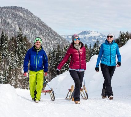 Rodeln in der Region St. Johann in Tirol / © Franz Gerdl